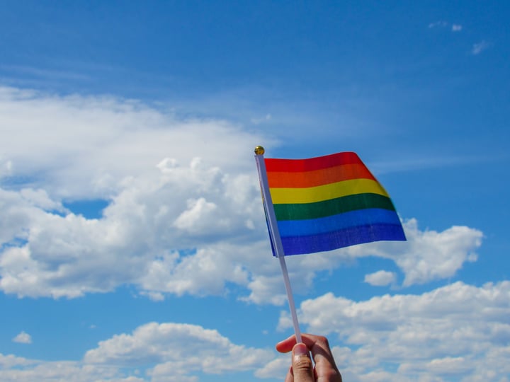 LGBTQ flag