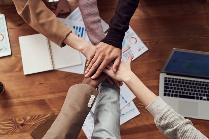 Knowledge management is key the success of any organisation: Photo by fauxels from Pexels